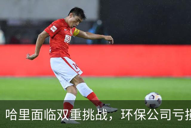 哈里面临双重挑战，环保公司亏损与媒体诉讼接连遭遇